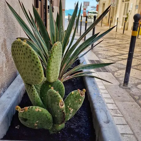 La Casa Di Bianca 4*