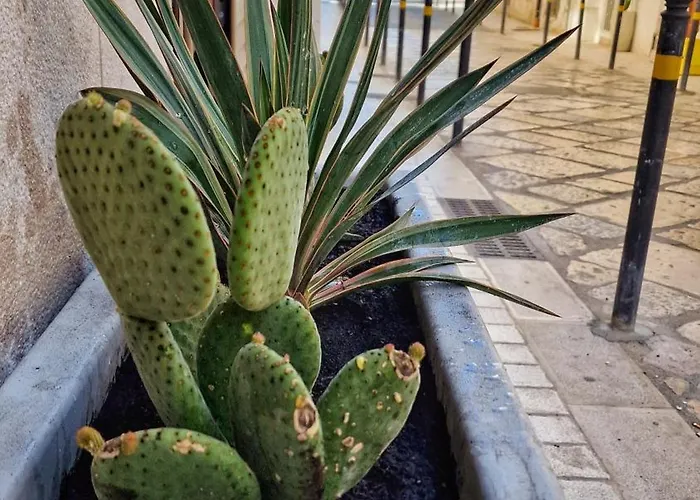 La Casa Di Bianca 4*